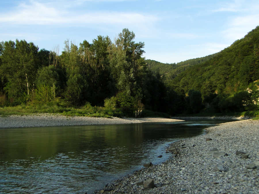 Durchflossener Altarm im Revier Schönbühel an der Donau