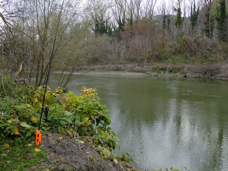 Angeln im Altarm Schönbühel an der Donau