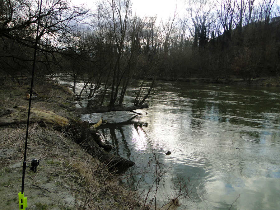 Donau-Altarm zwischen Schönbühel und Aggsbach Dorf