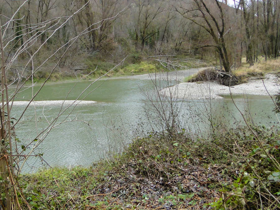 Durchflossener Altarm im Revier Schönbühel an der Donau