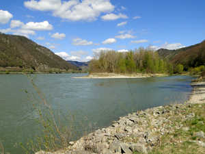 Donau Revier Schönbühel