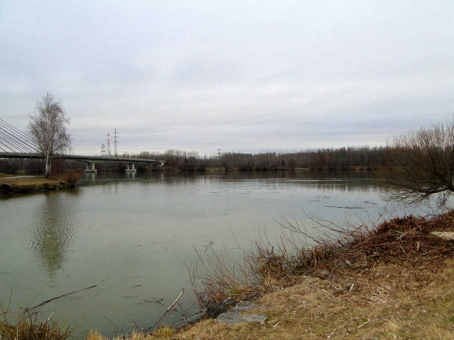 Große Tulln - Blick auf die Donau