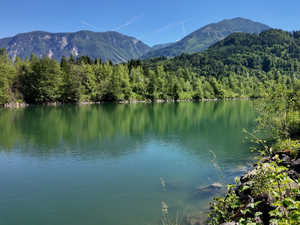 Drau Revier Moritz