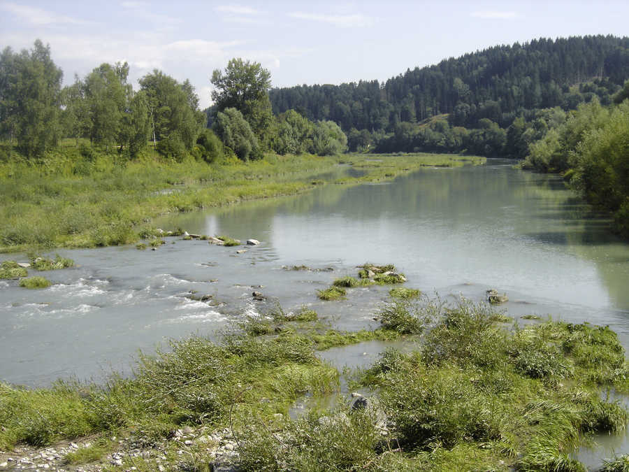 Das alte Flussbett der Drau bei Rosegg