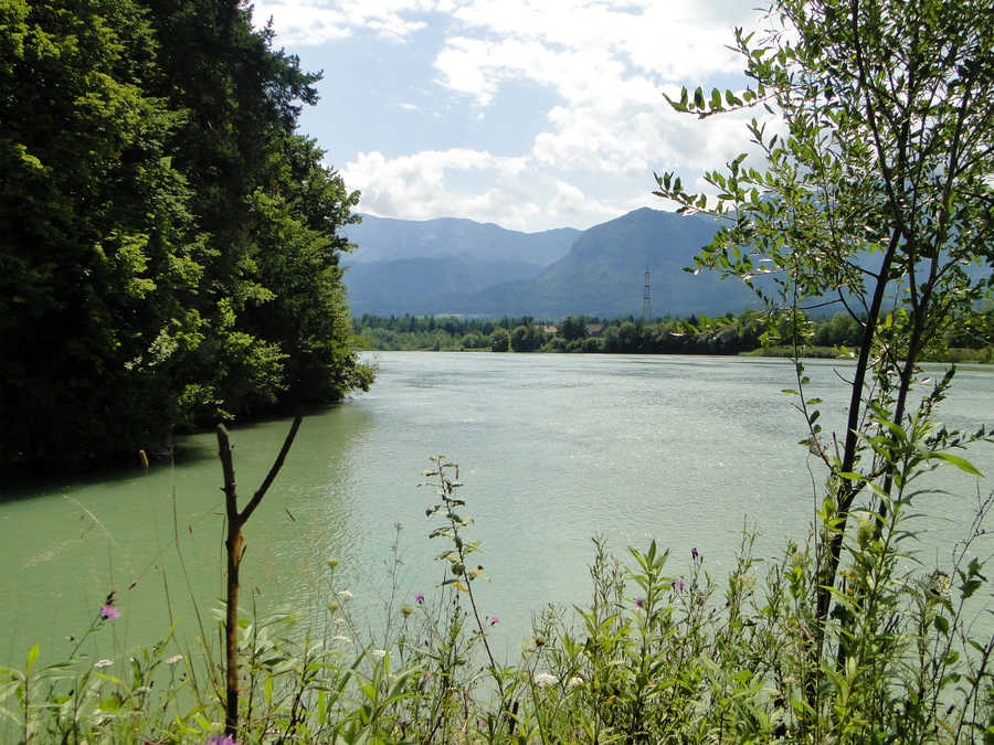 Angeln in der Drau bei Rosegg