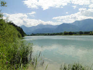 Drau Schleife Rosegg und Stau Feistritz