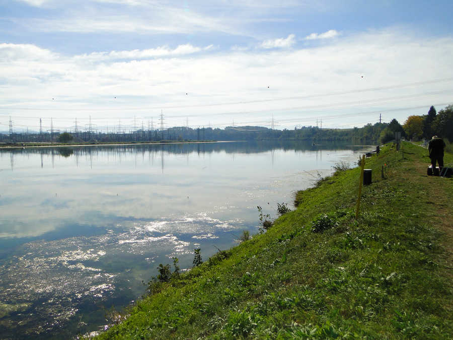 Ennsstausee - Oberösterreichisches Ufer