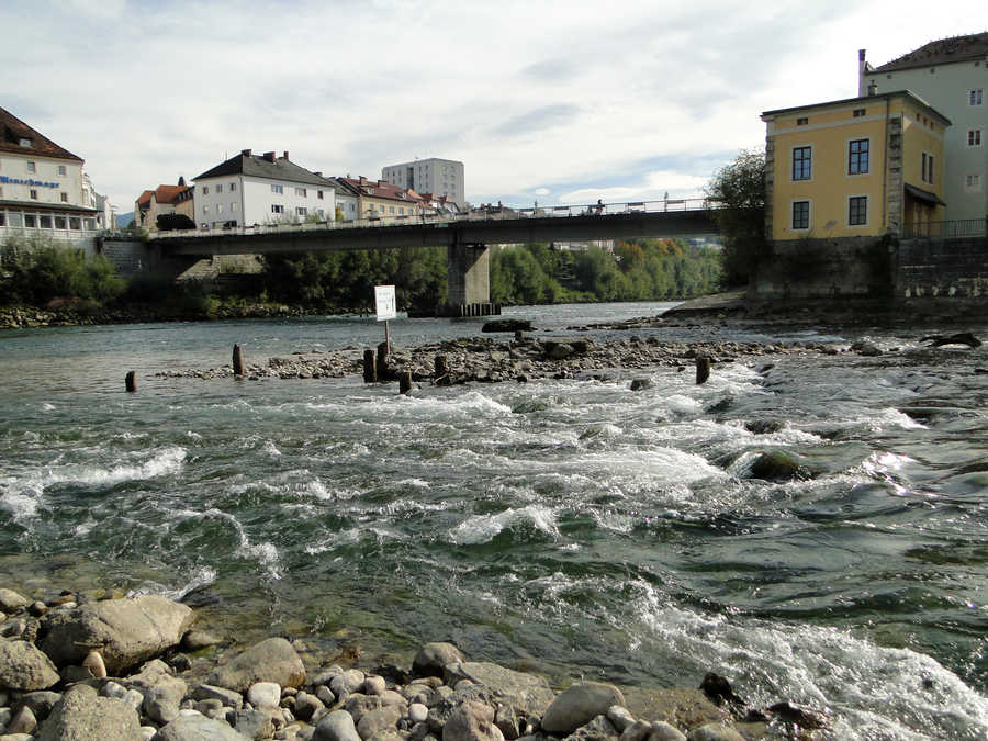 Fischen im Steyrer Stadtwasser