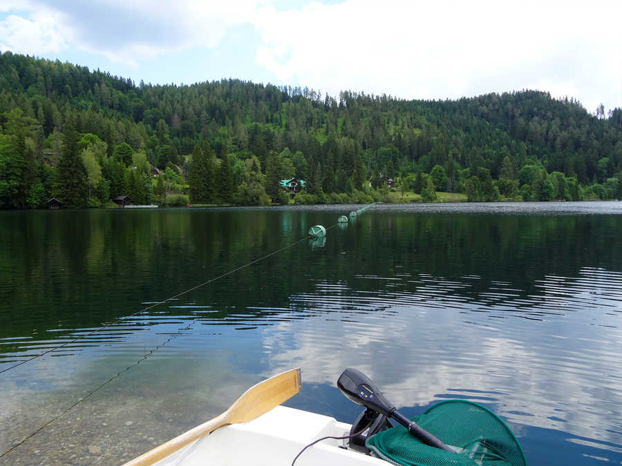 Fischen am Erlaufsee