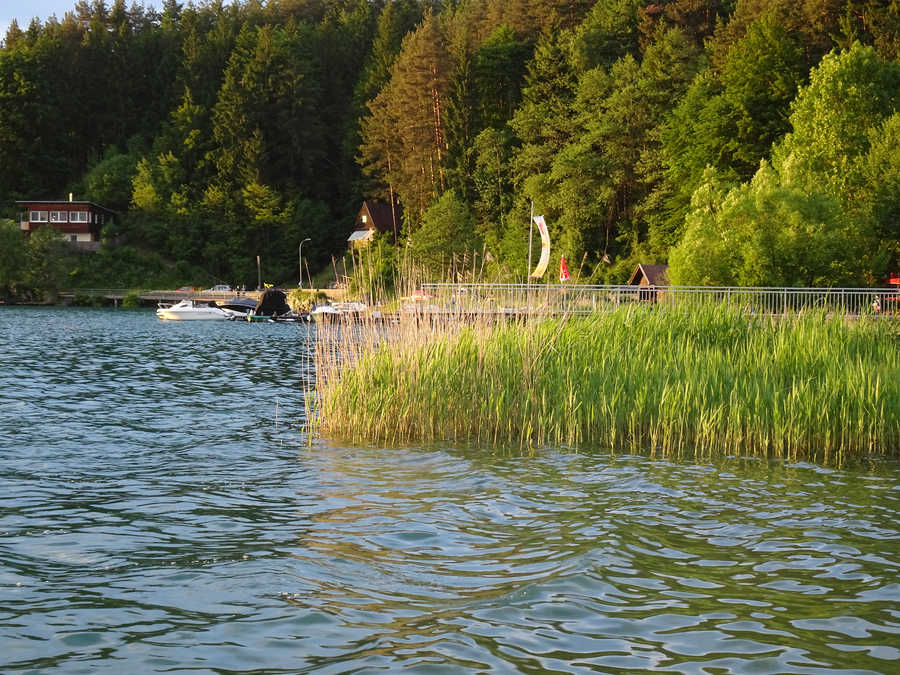 Faaker See Ostufer - Auch hier gibt es vereinzelt Schilfflächen.