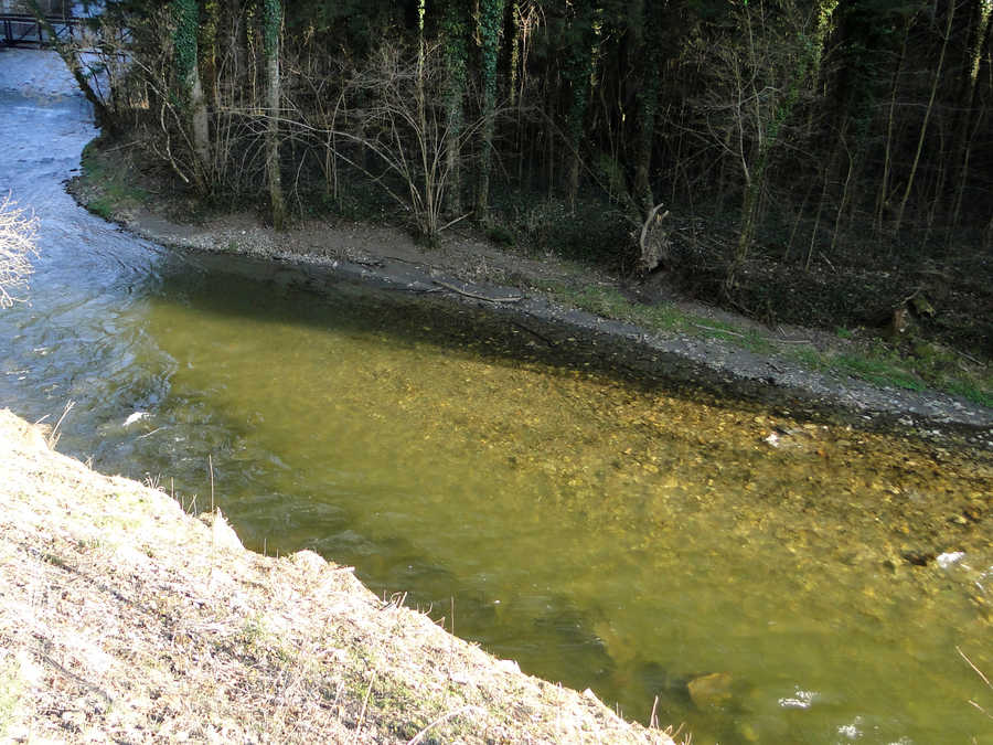 Die Feistritz bei Schlosstal