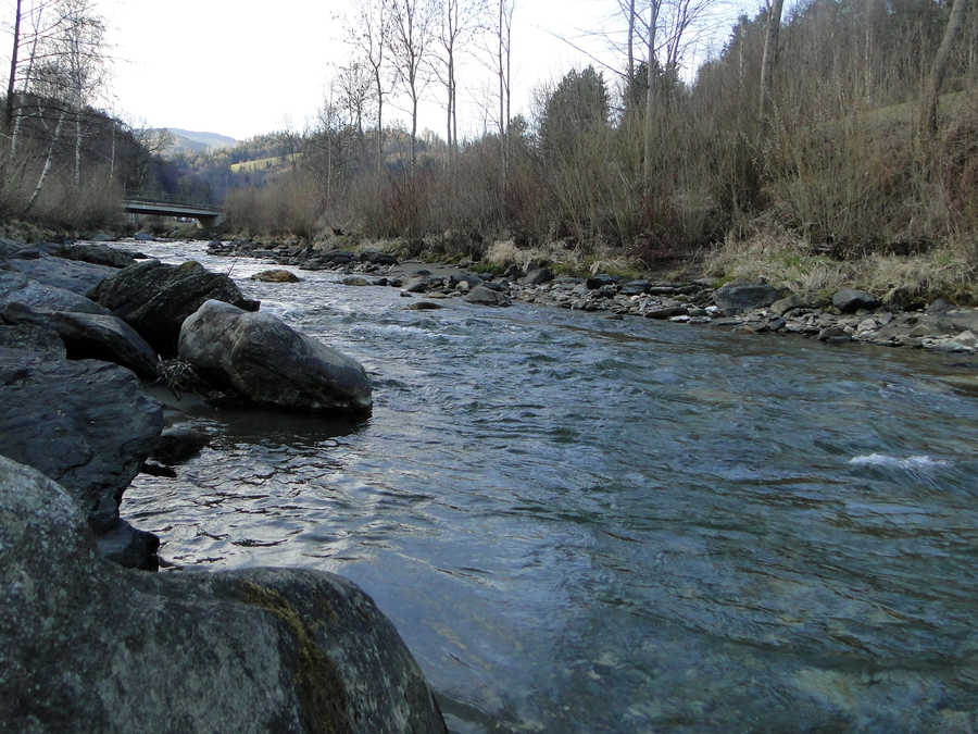 Die Feistritz im Ortsgebiet von Anger