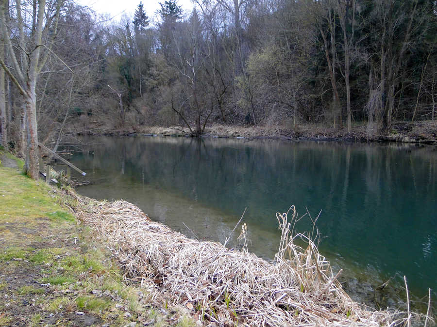  Fischen an der Feistritz in Fürstenfeld 