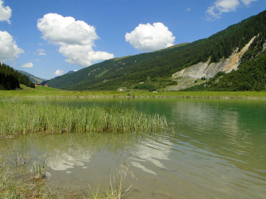 Das Nordufer vom Finkausee