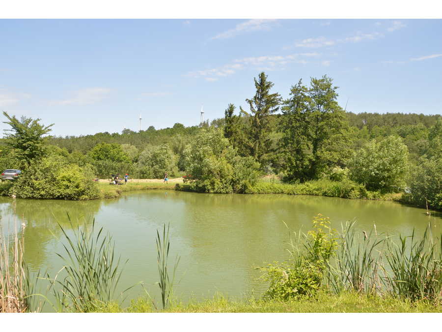 Fischteich Baumgarten - Bild 2