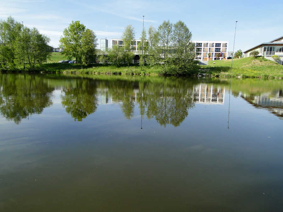 Der Fischteich in Hagenberg