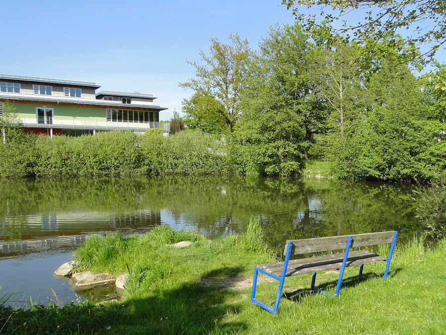 Schöner Angelplatz am Fischteich Hagenberg