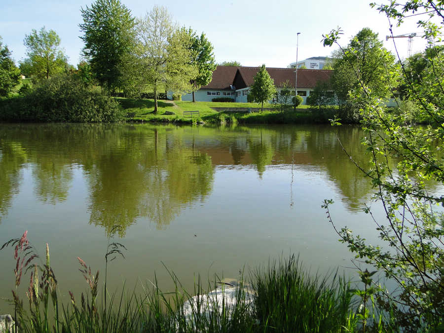 Fischteich Hagenberg - Blick vom Nordufer zum Südufer 