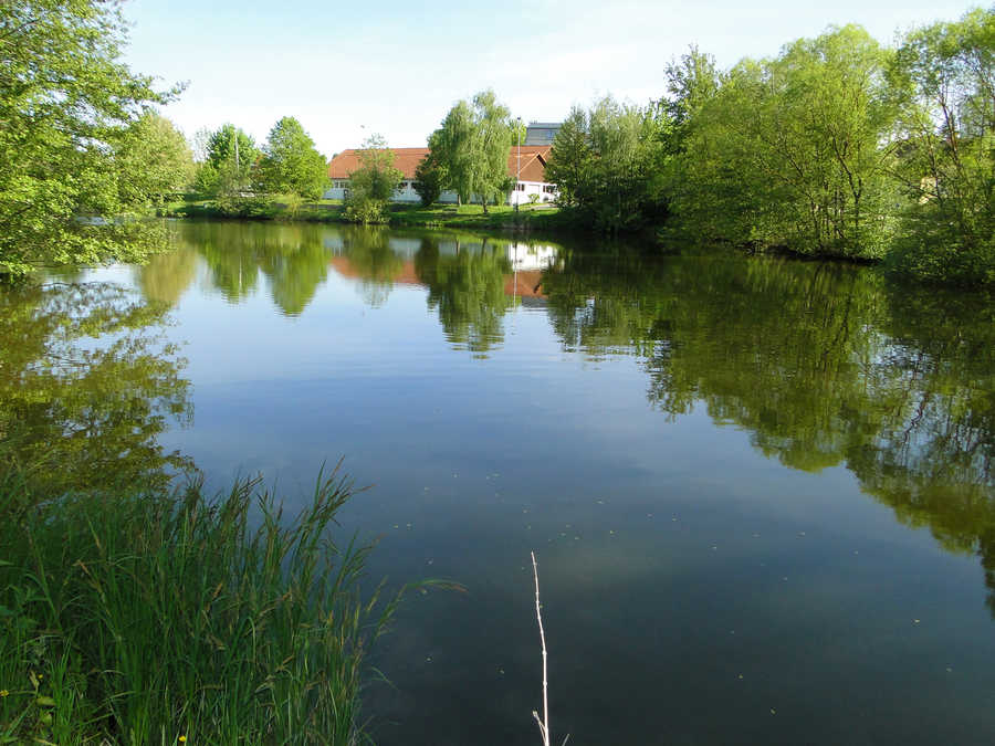 Hagenbergerteich - Blick vom Westufer in südöstliche Richtung