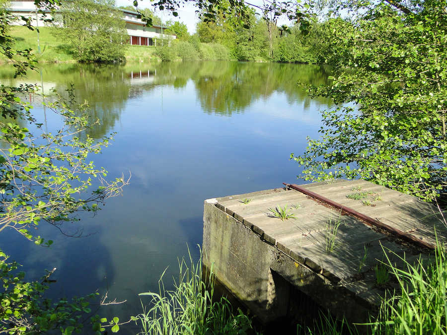 Ablauf vom Fischteich in Hagenberg