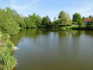 Fischteich Hagenberg