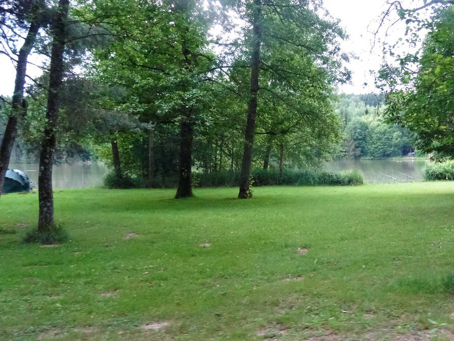 Der Teich liegt in einer sehr gepflegten Anlage mitten im Wald