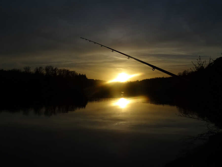 Nachtangeln ist am Fischteich Rotenturm möglich!