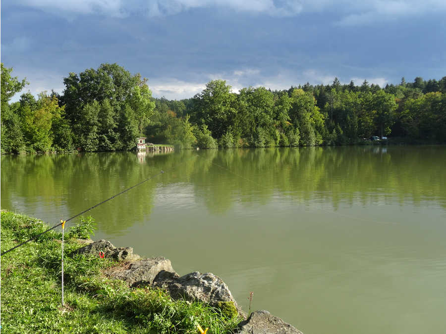 Fischteich Rotenturm im Sommer