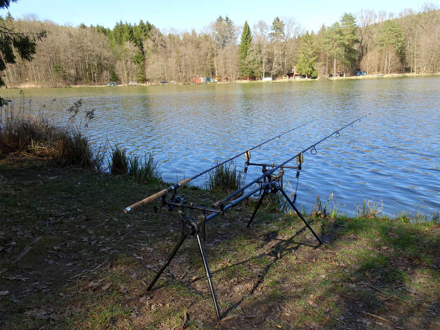 Fischteich Rotenturm - Blick vom Südufer auf das sonnige Nordufer