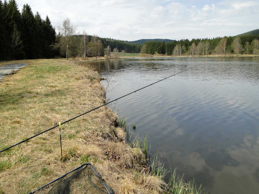 Angeln am Frauenwieserteich