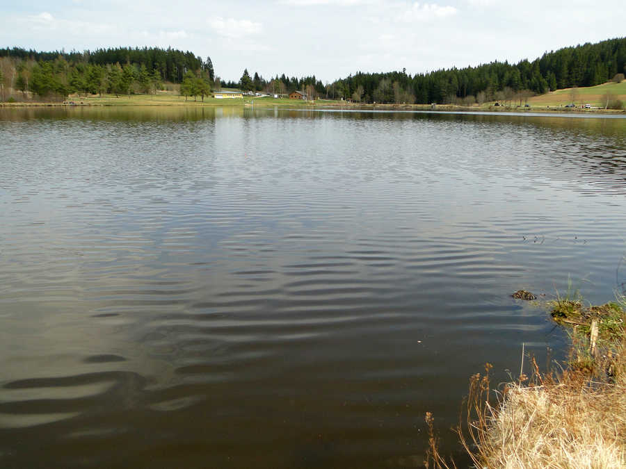 Der Frauenwieserteich im Waldviertel