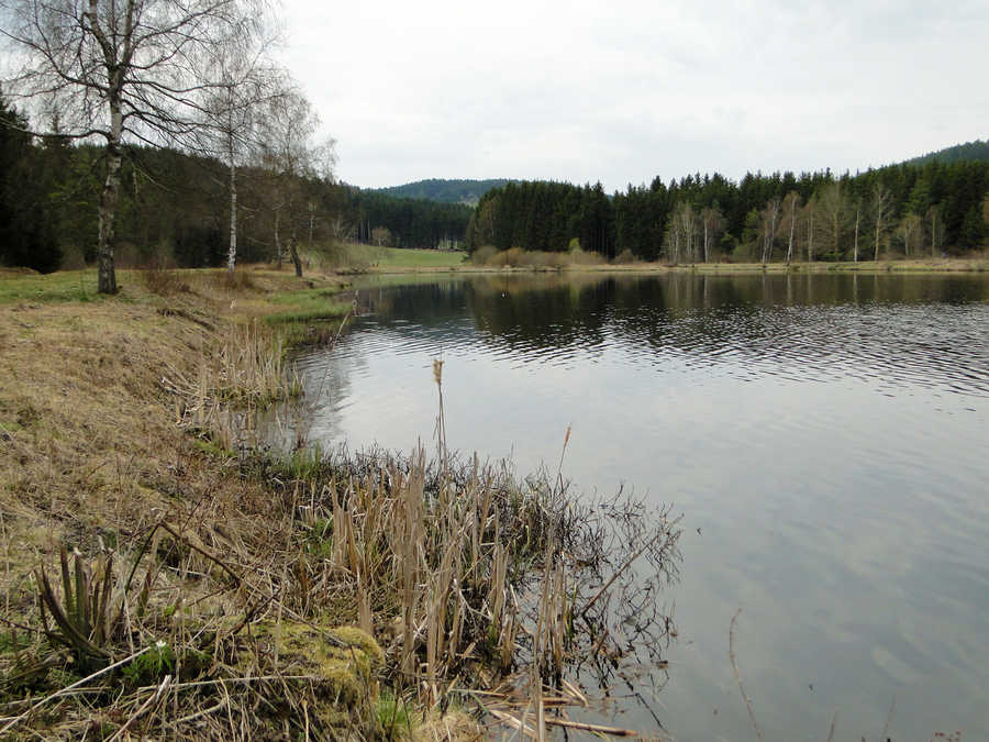 Frauenwieserteich in der Gemeinde Langschlag