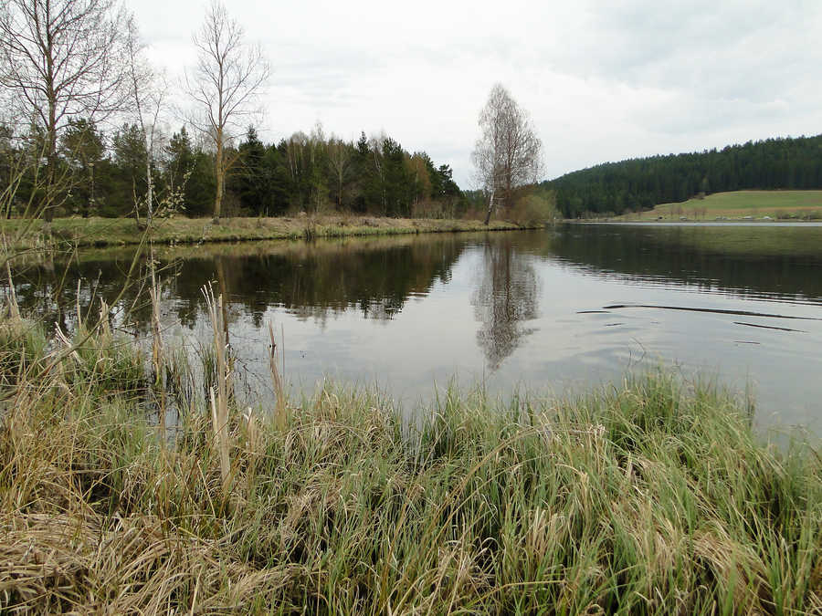 Frauenwieserteich - Oberer Teil