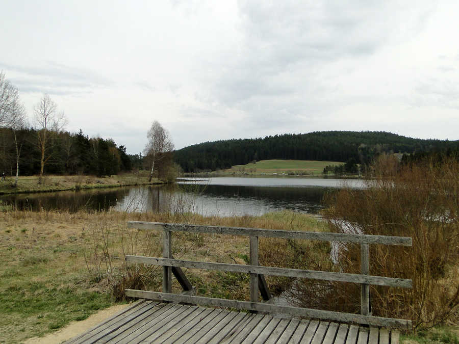 Rund um den Frauenwieserteich führt ein Weg