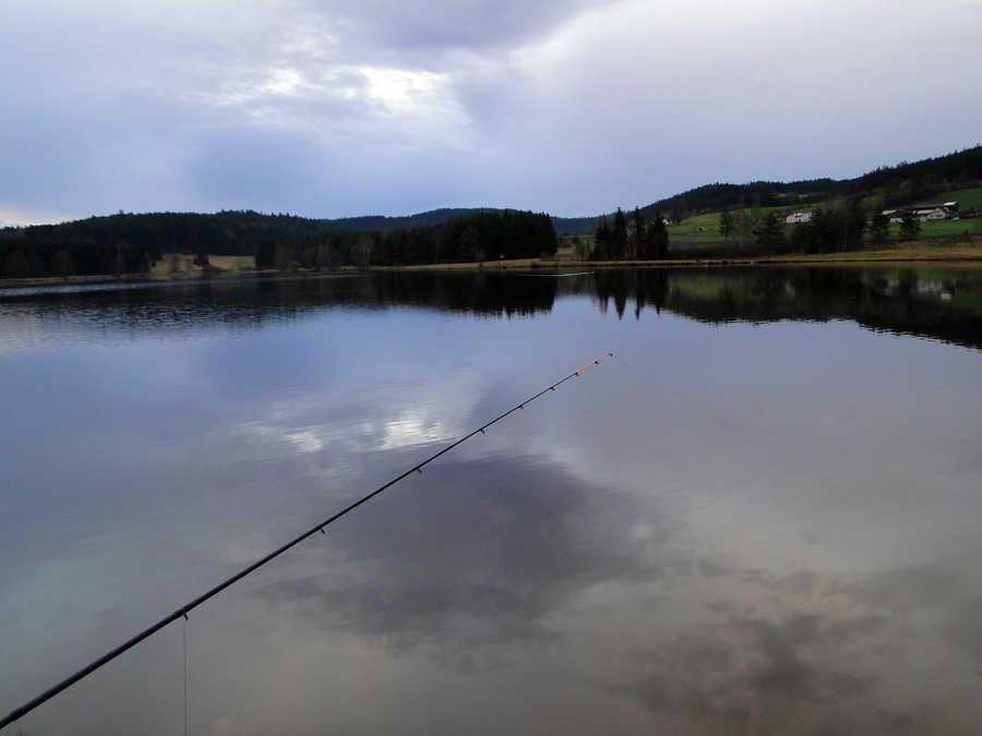 Nachtangeln ist am Frauenwieserteich im Sommer möglich