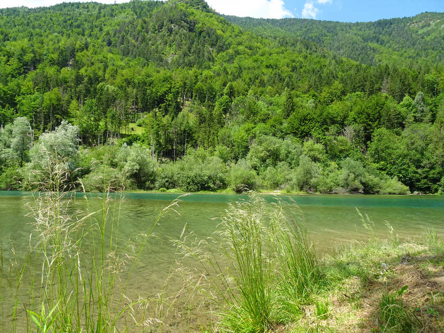 Freibacher Stausee in der Nähe vom Stauseewirt 