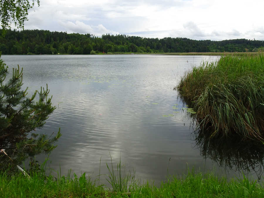 Gösselsdorfer See im Frühjahr