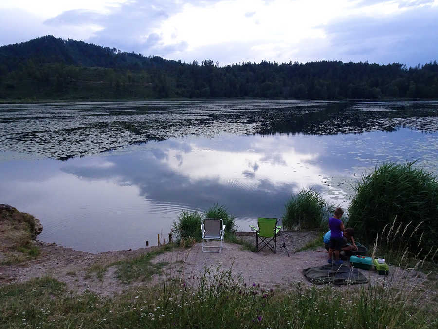 Schöner Angelplatz am Gösselsdorfer See