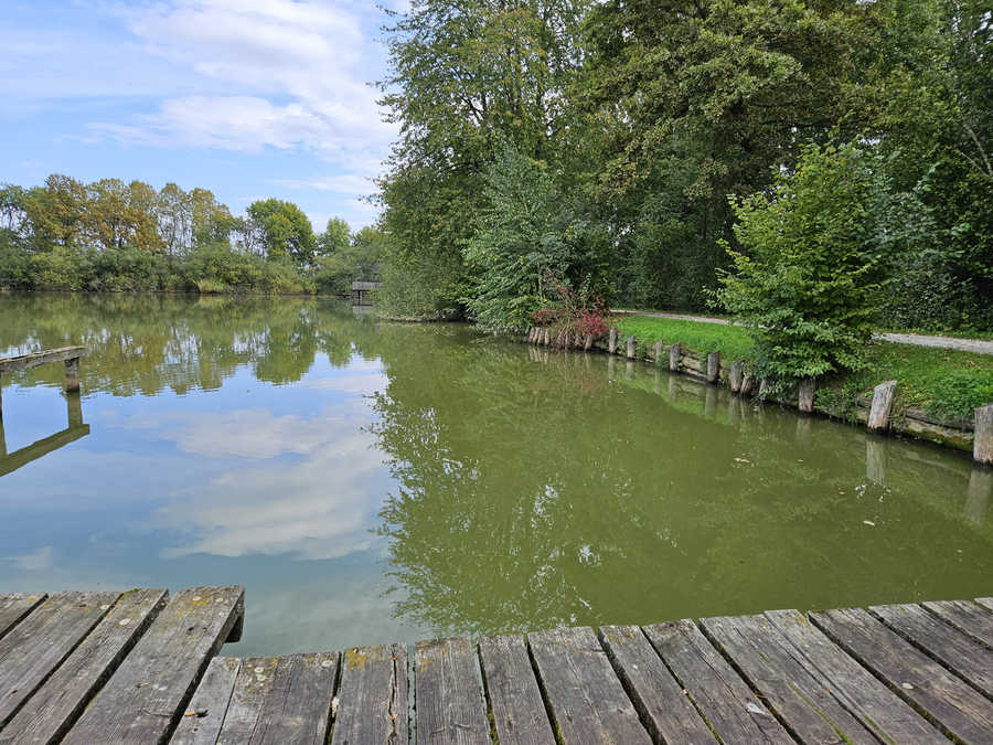 Harter Teich in der Steiermark