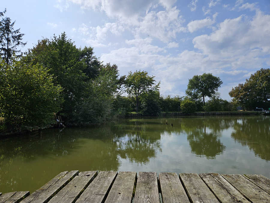 Großharter Naturteich - südwestliches Ufer