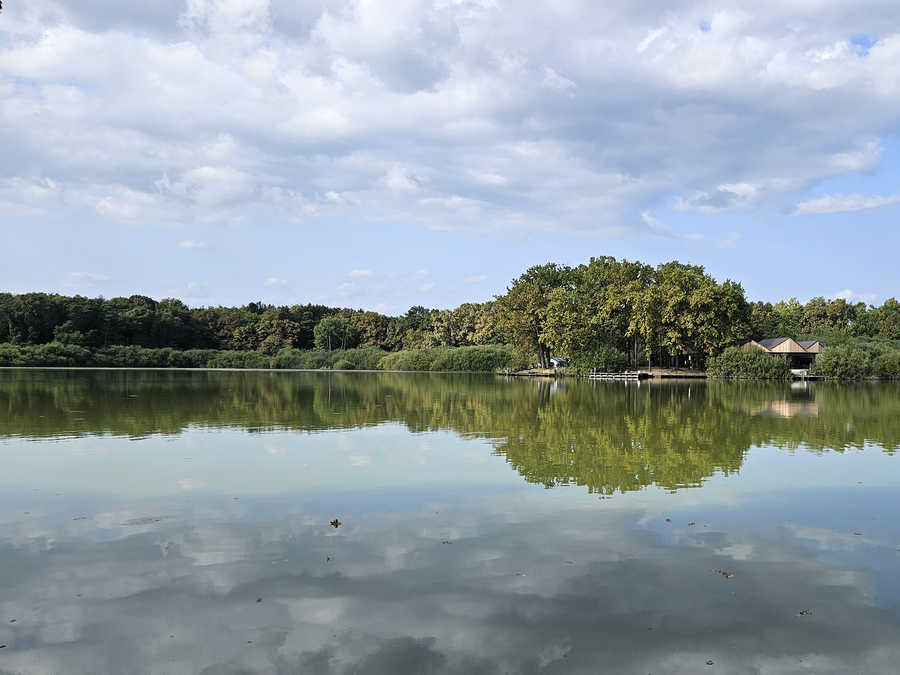 Naturteich Großhart in der Gemeinde Hartl