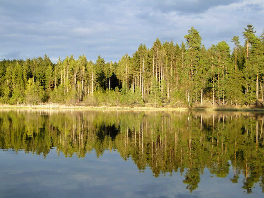 Himmelteich - Blick auf das Ostufer