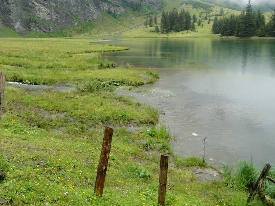 Mehrere Bäche speisen den Hintersee