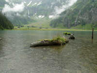 Hintersee (Mittersill)