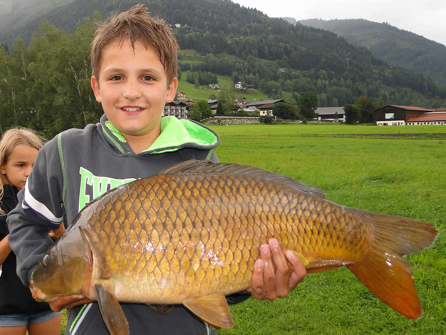 Schöner Karpfen aus Hofis Angelteich