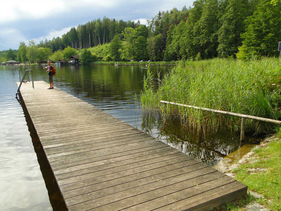 Es gibt auch Stege am Holzöstersee