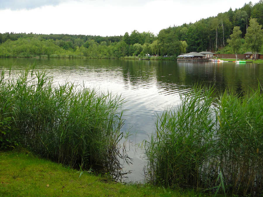 Fischen am Holzöstersee