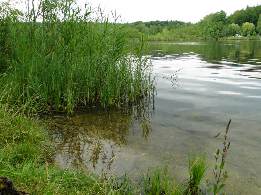 Der Holzöstersee bietet gute Angelplätze