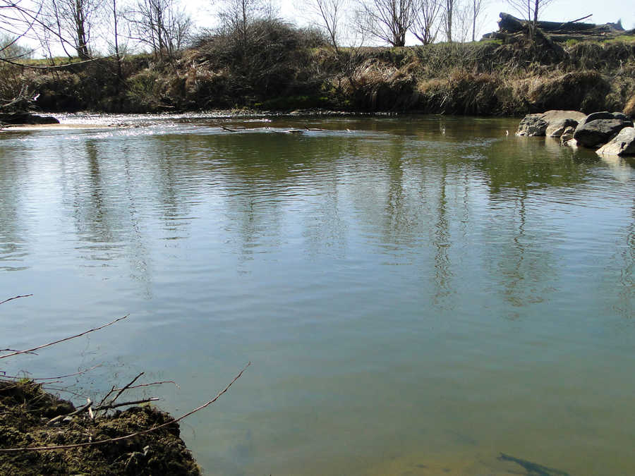 Angeln in der Lassnitz im Revier Lang