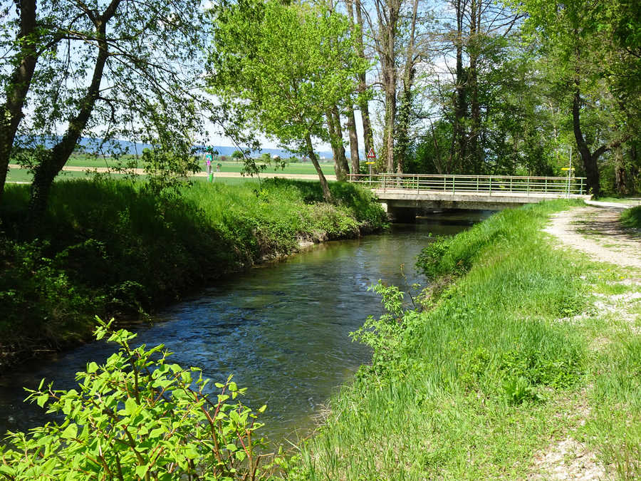 Mühlbach (Werkskanal) in Eichbüchl